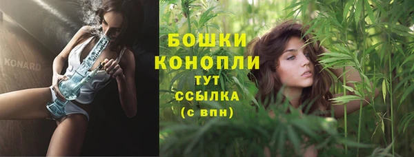 мет Болотное