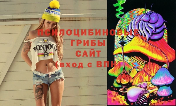 гашиш Богородицк