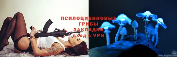 дмт Болхов