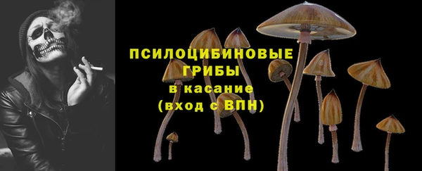 героин Богданович