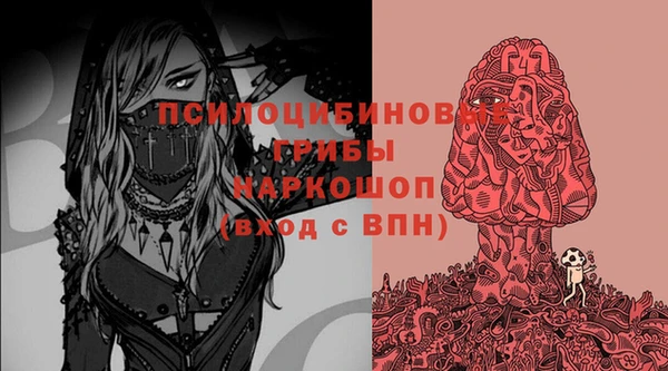 сатива Верхний Тагил