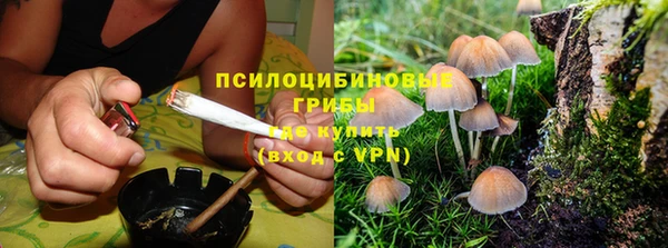 PSILOCYBIN Белокуриха